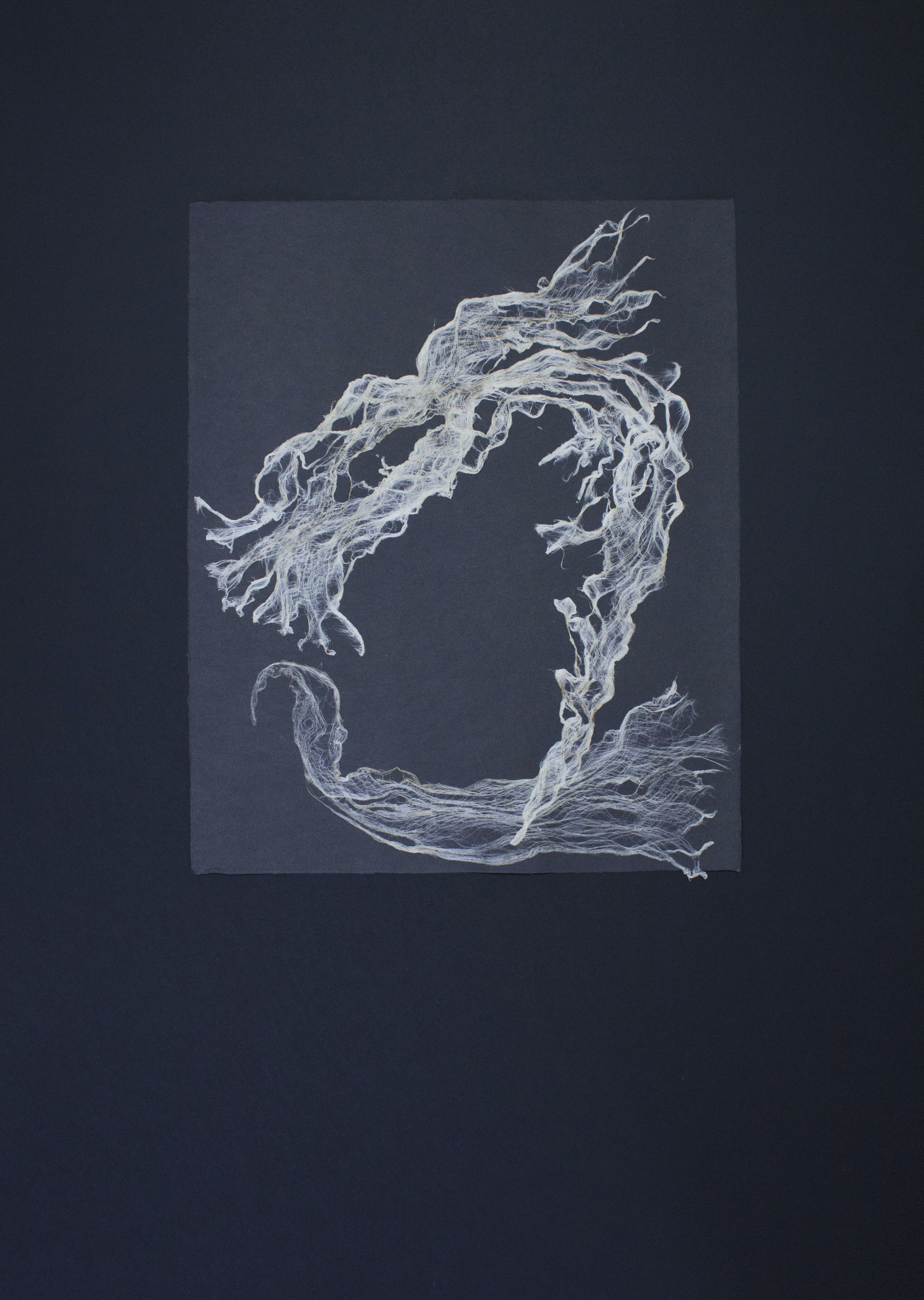 Heidrun Wettengl, Inside, Kozofaser auf Papier, 100x70 cm, 2016